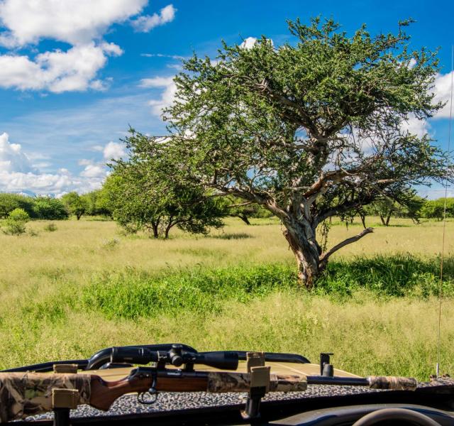 Kwaggarif African Safaris
