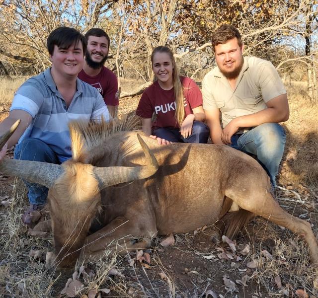 Kwaggarif African Safaris