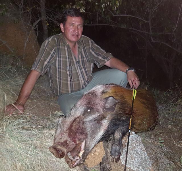 Kwaggarif African Safaris