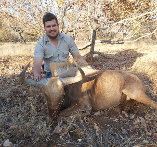 Kwaggarif African Safaris