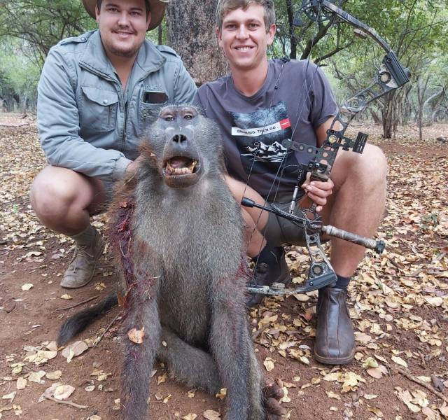 Kwaggarif African Safaris