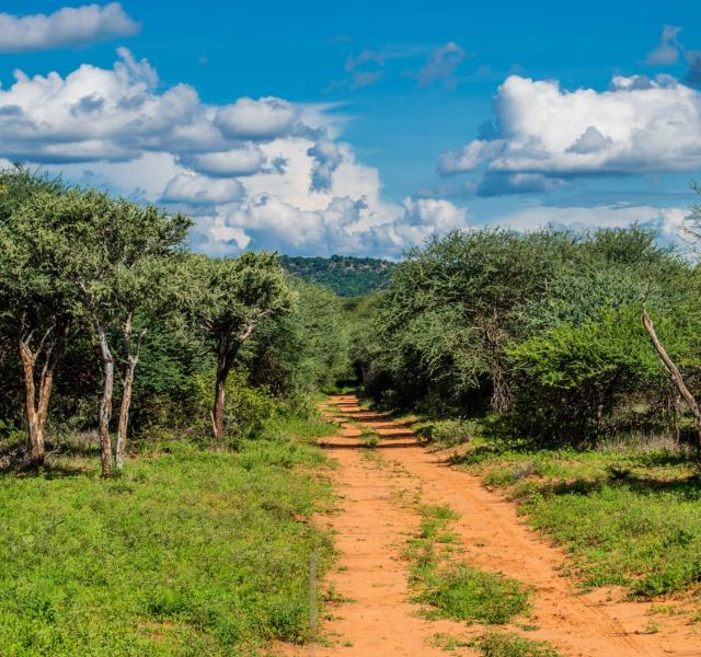 Kwaggarif African Safaris