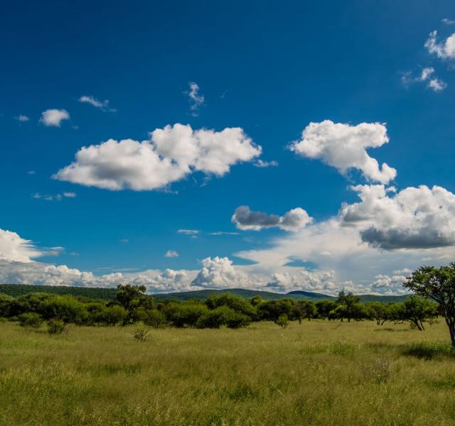 Kwaggarif African Safaris